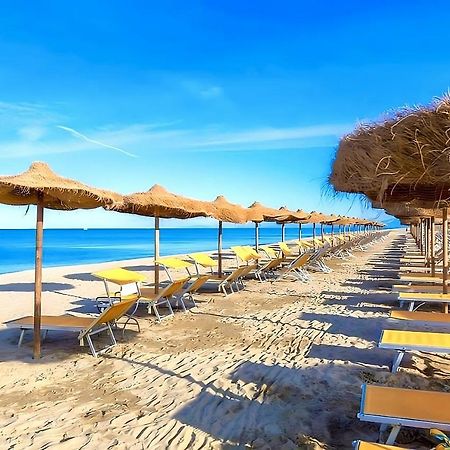 Regina Del Mare Holiday Apartments Tirrenia Eksteriør bilde