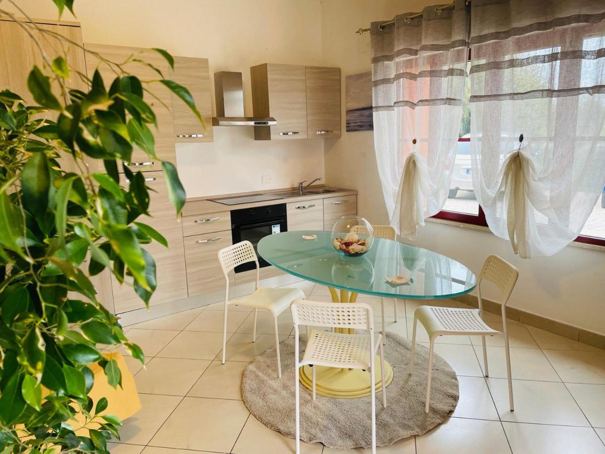 Regina Del Mare Holiday Apartments Tirrenia Eksteriør bilde